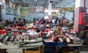Khuyến cáo không sử dụng nhiều hải sản ở 4 tỉnh miền Trung