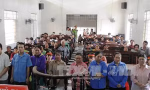 8 bị cáo trong băng trộm cắp Tây Ninh lĩnh án tù