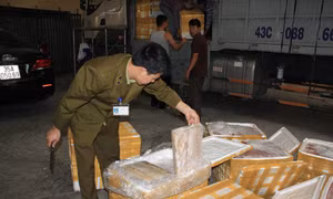 Ngăn chặn thực phẩm bẩn mùa Tết