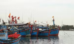 Khu vực từ Quảng Ninh đến Khánh Hòa chủ động đối phó bão Aere