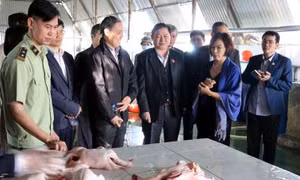 Đoàn giám sát Quốc hội kiểm tra an toàn thực phẩm tại Hải Dương 