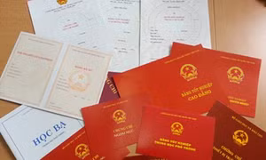 Cảnh cáo Trưởng BTC Thành ủy mượn bằng tốt nghiệp 