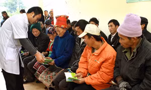 Quản lý, giúp đỡ bệnh nhân điều trị bằng thuốc