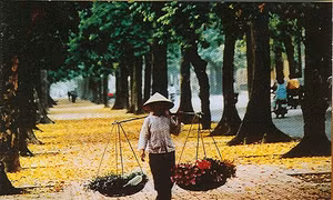 Phố mùa thu...