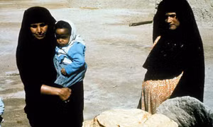 Thảm kịch “hạt giống màu tím” tại Iraq