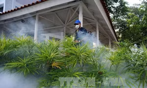 Malaysia thông báo ca đầu tiên nhiễm virus Zika trong nước 