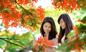 Lang thang miền hạ
