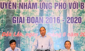 Tránh “cha chung không ai khóc” trong quản lý rừng Tây Nguyên