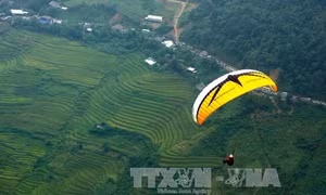 "Bay trên mùa vàng" Khau Phạ
