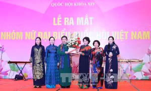 Khẳng định chính sách bình đẳng giới của Việt Nam