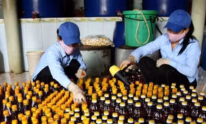 Bộ Công an vào cuộc làm rõ vụ nước mắm nhiễm asen