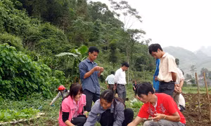 Nâng cao chất lượng nguồn nhân lực ở Tây Bắc