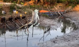 Long An khẩn trương đắp đập ngăn mặn giúp Tiền Giang