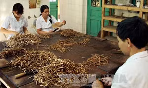 Bảo tồn và sử dụng có hiệu quả các bài thuốc Thái y viện triều Nguyễn