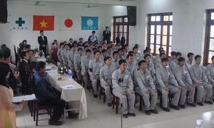 Nhật Bản là thị trường dẫn đầu về thu hút lao động Việt Nam