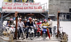 Cà Mau