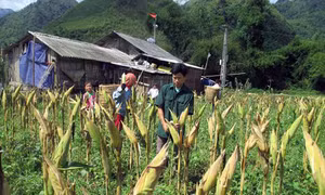 Làm giàu từ hai bàn tay trắng