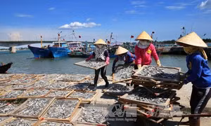 Quảng Trị chi trả tiền bồi thường cho ngư dân