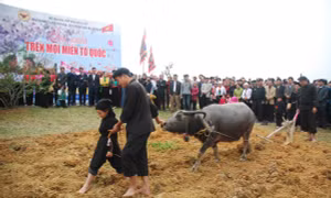 Tái hiện lễ hội Lồng Tồng trên đất Thủ đô