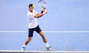 Murray và Djokovic - Ai lợi thế hơn tại giải "bát hùng"?