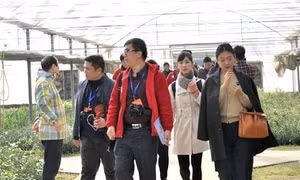 Tiểu Cương - “Đệ nhất thôn” ở Trung Quốc