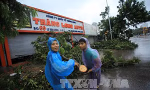 Tháng 8 có 1-2 cơn bão và áp thấp nhiệt đới 