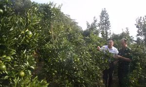 Lào Cai