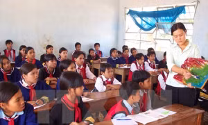 Đình chỉ Hiệu trưởng trường tiểu học để học sinh “ngồi nhầm lớp”