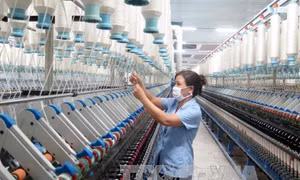 Không cấp bảo lãnh Chính phủ cho tập đoàn có khó khăn tài chính 