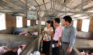 Vốn chính sách tạo nhiều việc làm ở vùng ven biển