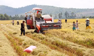 Kết quả sơ bộ tổng điều tra nông thôn, nông nghiệp, thủy sản 