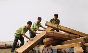 Khu Bảo tồn Thiên nhiên Ea Sô bị xâm hại tứ phía