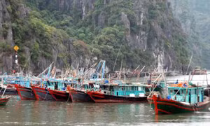 Miền Trung ứng phó bão số 7 và khắc phục hậu quả mưa lũ