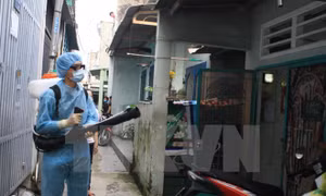 Gia tăng số ca mắc sốt xuất huyết và bệnh do vi rút Zika