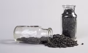 Mỹ phát hiện hạt giống hoa nguy hại hơn ma túy
