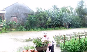 Huyện Nghĩa Hành, Quảng Ngãi ngập sâu trong lũ 