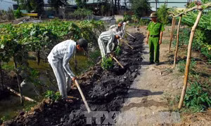 Phê duyệt Đề án tha tù trước thời hạn có điều kiện