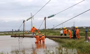 Sửa chữa lưới điện sau bão số 1, một người tử vong 