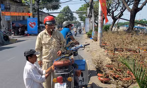 Nhiều dịch vụ ngày Tết “cháy” hàng