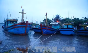 Cứu 3 ngư dân trên tàu gặp nạn khi bão về