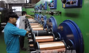 Doanh nghiệp cần các chính sách hỗ trợ phù hợp 