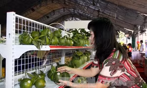 Hơn 1.000 doanh nghiệp tham gia kết nối cung - cầu hàng hóa