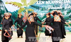 Xây dựng Hồ sơ quốc gia trình UNESCO công nhận xoè Thái là di sản thế giới