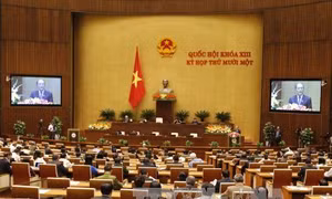 Nhiều vướng mắc trong bầu cử ĐBQH được giải quyết kịp thời