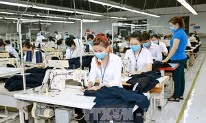 Có hai sổ BHXH, xử lý như thế nào?