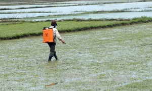 Miền Trung chủ động phó mưa lũ