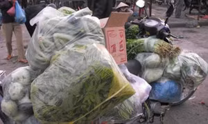 Công ty rau sạch tuồn rau bẩn vào trường học