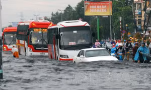 TP. Hồ Chí Minh