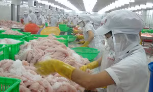 Lao động nữ từ các tỉnh khác về làm tại KCN thuê nhà trọ chiếm 75%