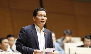 Lý giải nguyên nhân năng suất lao động thấp